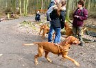 04.03.2012 Vizslar Treffen Rotbachtal